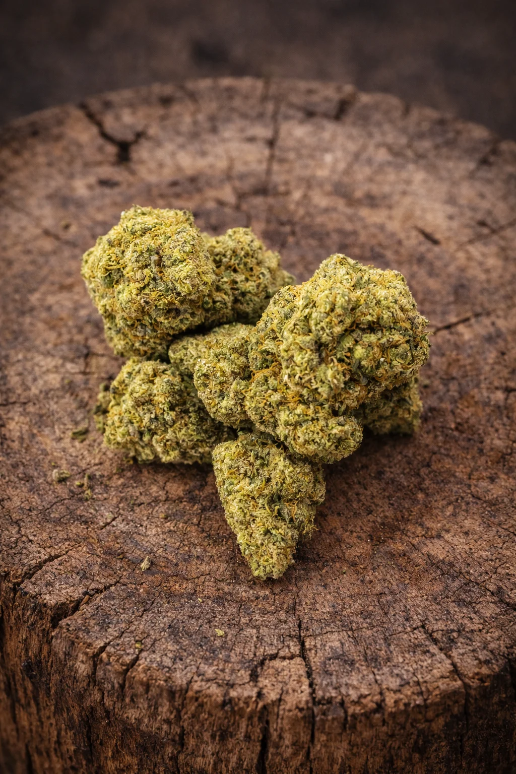 Fleur CBD Skunk – CBD Résine