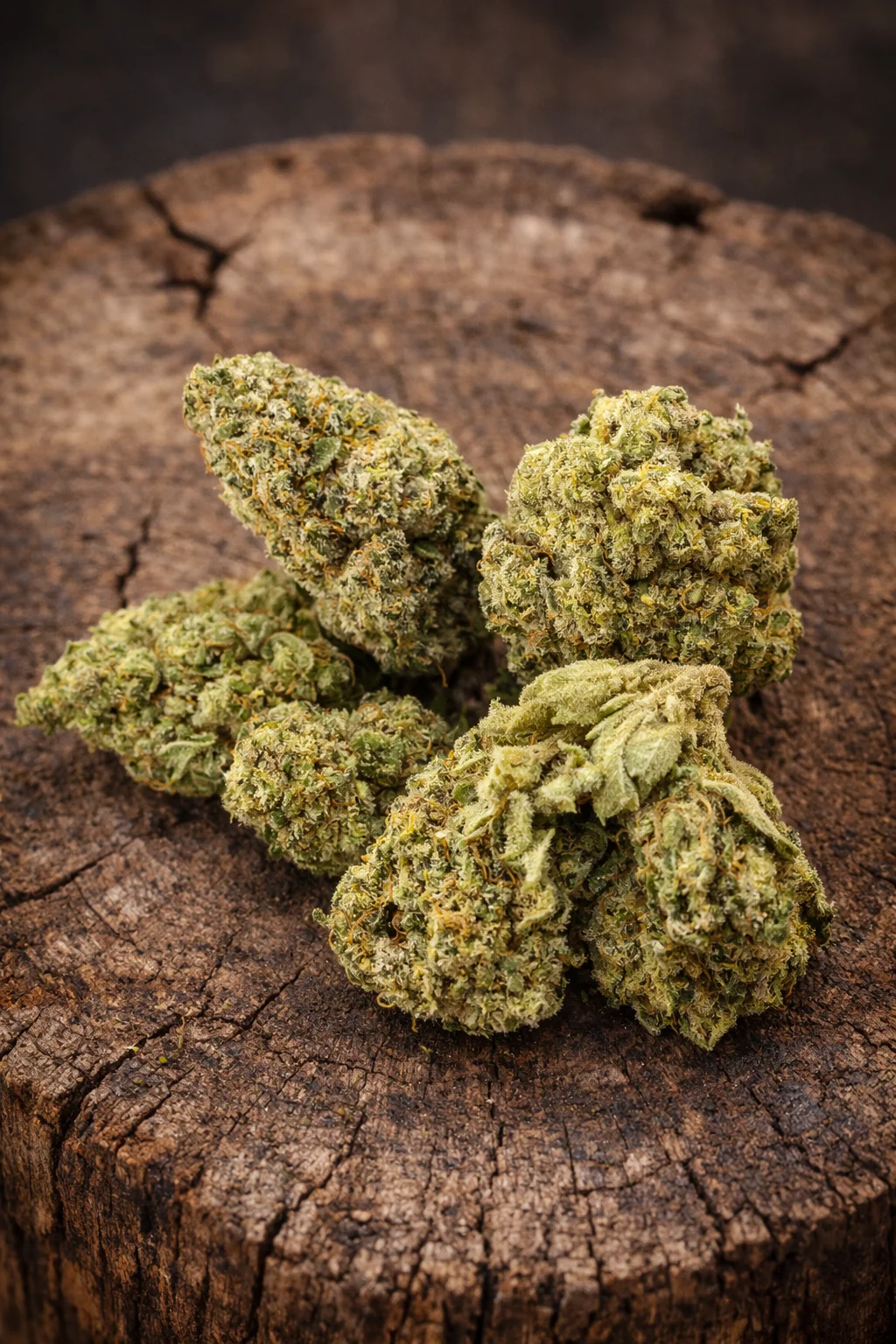 Fleur CBD White Widow – CBD Résine