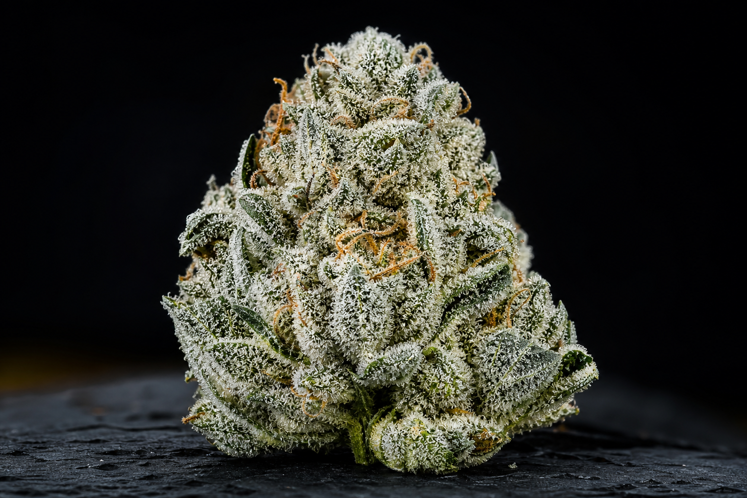 White Widow CBD : histoire de la variété légendaire et profil aromatique
